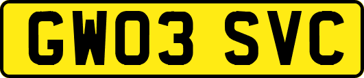 GW03SVC