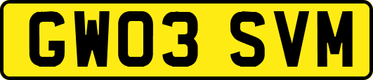 GW03SVM