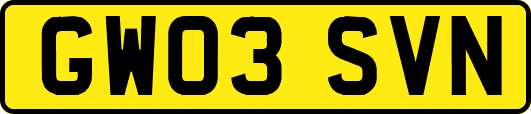 GW03SVN