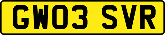 GW03SVR