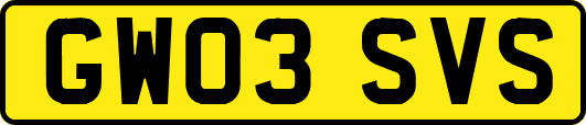 GW03SVS