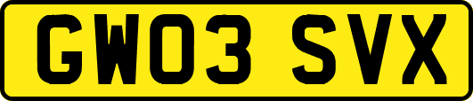 GW03SVX