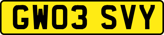 GW03SVY
