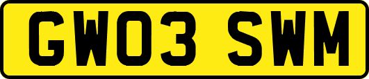 GW03SWM