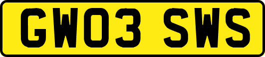GW03SWS