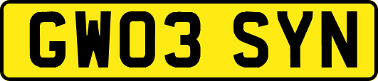 GW03SYN