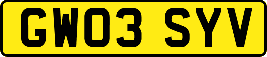 GW03SYV