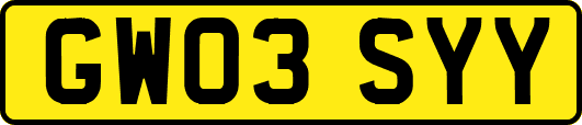 GW03SYY