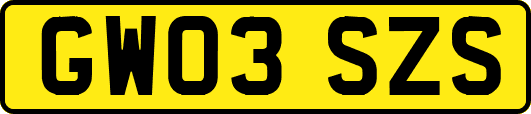 GW03SZS
