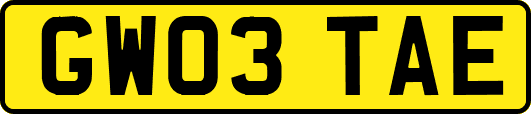 GW03TAE