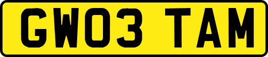 GW03TAM
