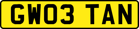 GW03TAN