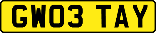 GW03TAY