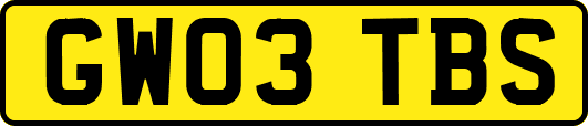 GW03TBS