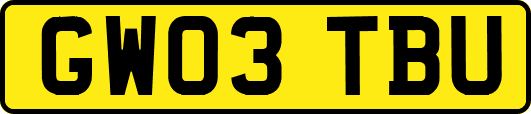 GW03TBU