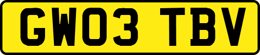 GW03TBV