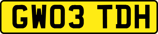 GW03TDH