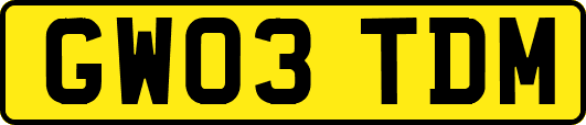 GW03TDM