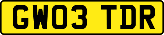 GW03TDR