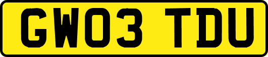 GW03TDU