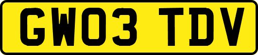 GW03TDV