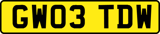 GW03TDW