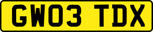 GW03TDX