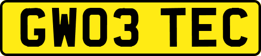 GW03TEC