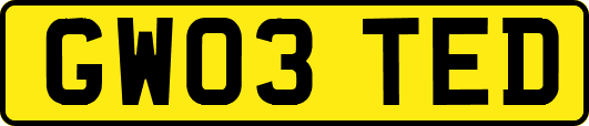 GW03TED