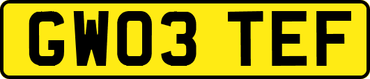 GW03TEF