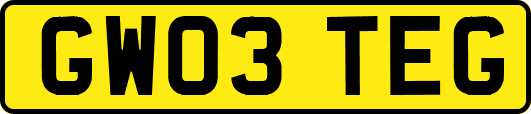 GW03TEG