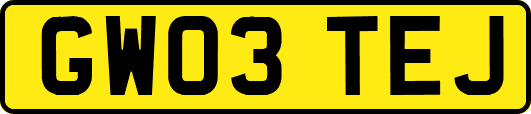 GW03TEJ