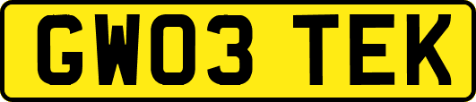 GW03TEK