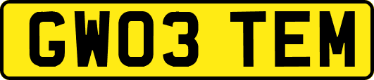 GW03TEM