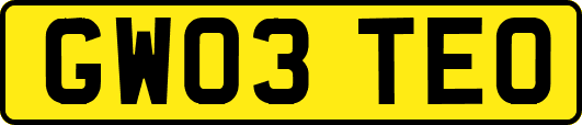 GW03TEO