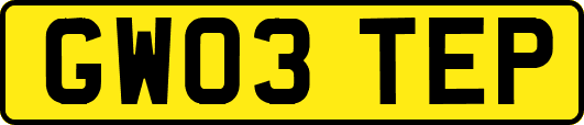 GW03TEP