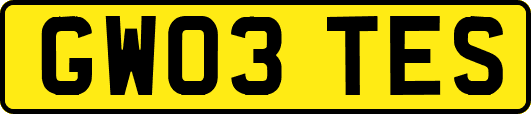 GW03TES