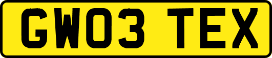 GW03TEX