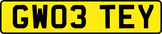 GW03TEY