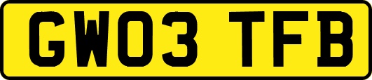 GW03TFB