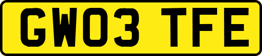 GW03TFE