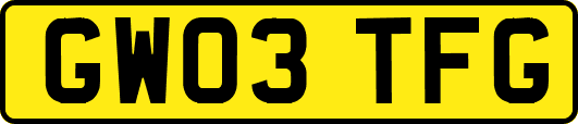 GW03TFG