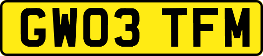 GW03TFM