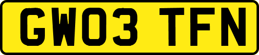 GW03TFN
