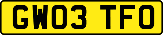 GW03TFO