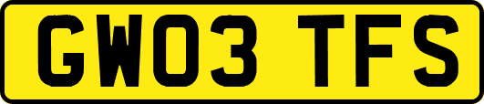 GW03TFS