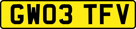 GW03TFV