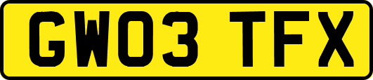 GW03TFX