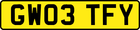 GW03TFY