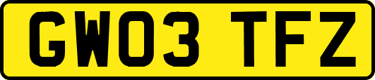 GW03TFZ